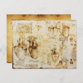 Herz und Blutgefäße Postkarte (Vorne/Hinten)