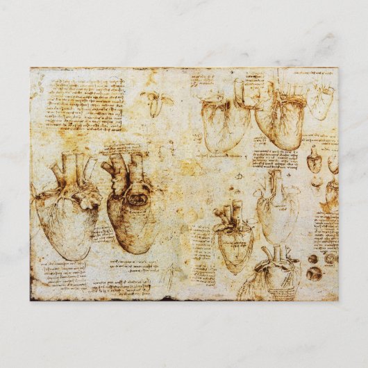 Herz und Blutgefäße Postkarte (Vorderseite)