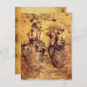 Herz und Blutgefäße Postkarte (Vorne/Hinten)
