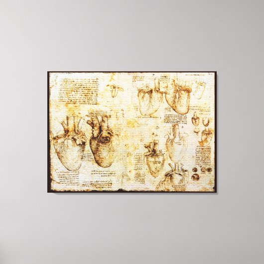 Herz und Blutgefäße, Sepia Leinwanddruck (Vorderseite)