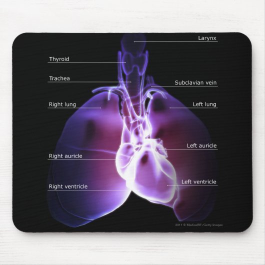 Herz- und Lungenstruktur Mousepad (Vorne)