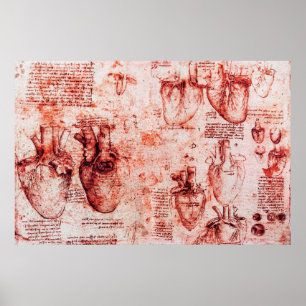 Herz und seine Blutgefäße Leonardo Da Vinci, rot Poster