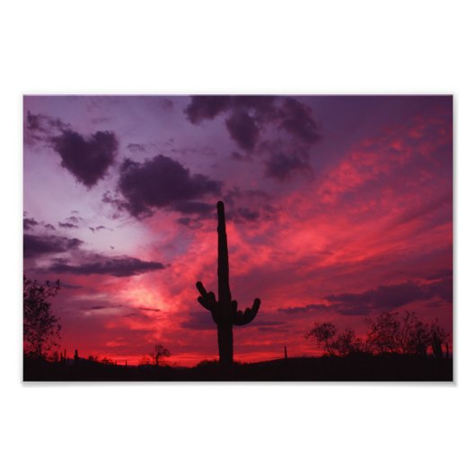 Herz von Arizona Fotodruck (Vorne)