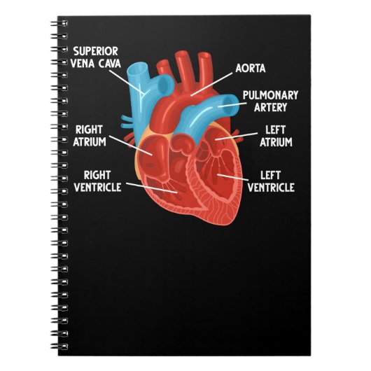 Herzanatomie Bildung Kardiologie Notizblock (Vorderseite)