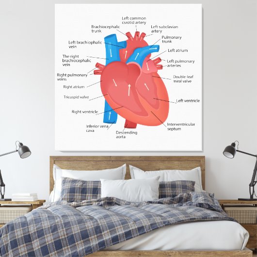 Herzanatomie Leinwanddruck (Insitu (Schlafzimmer))