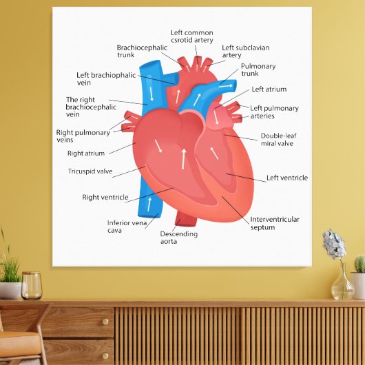 Herzanatomie Leinwanddruck (Insitu (Wohnzimmer))
