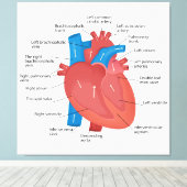 Herzanatomie Leinwanddruck (Insitu (Holzboden))