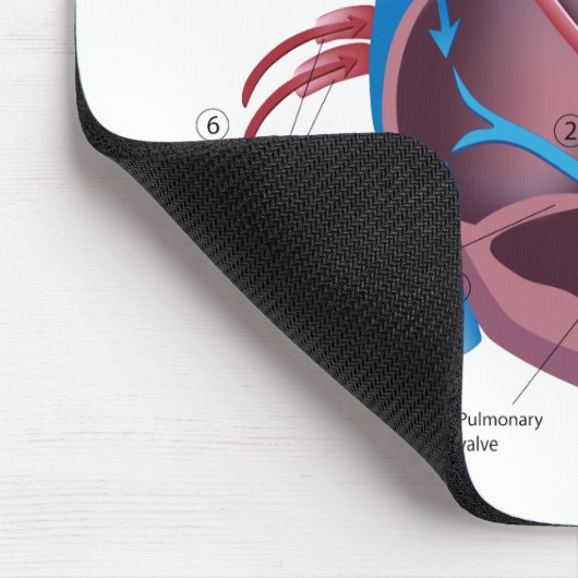 Herzanatomie mousepad (Ecke)