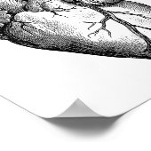 Herzanatomie Poster (Ecke)