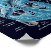 Herzanatomie Poster (Ecke)