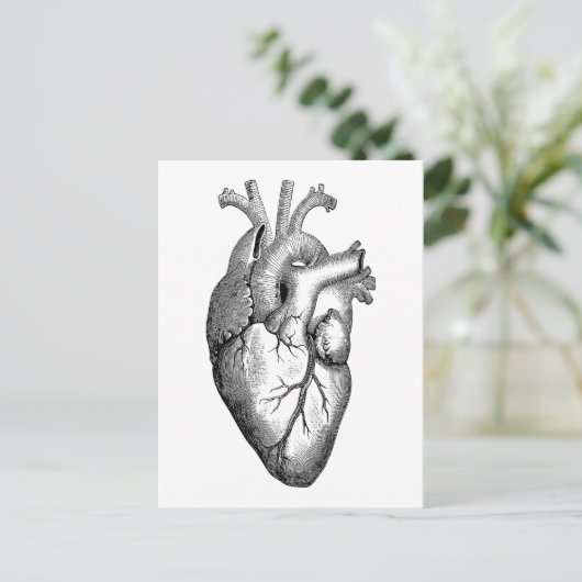 Herzanatomie Postkarte (Stehend Vorderseite)