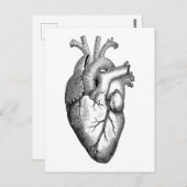 Herzanatomie Postkarte (Vorne/Hinten)