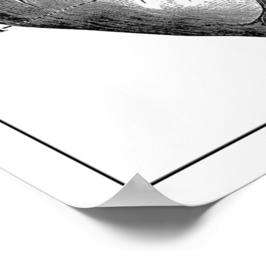 HERZANATOMIE VINTAG POSTER (Ecke)