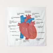 Herzanatomie Wandteppich (Vorderseite)