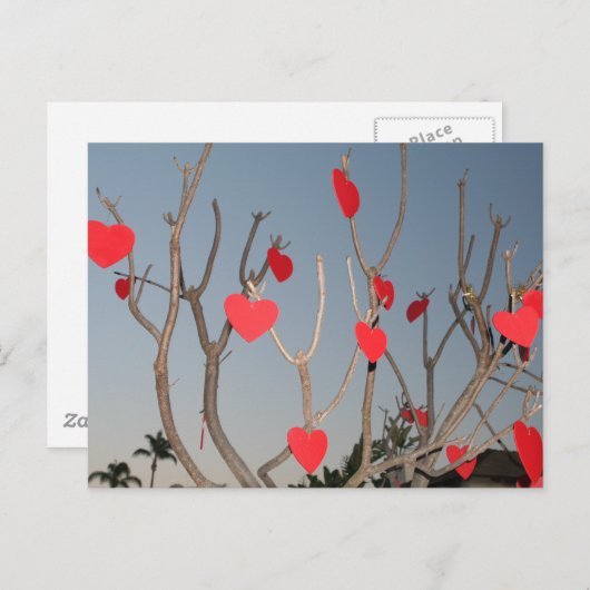 Herzbaum Postkarte (Vorne/Hinten)