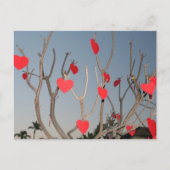Herzbaum Postkarte (Vorderseite)