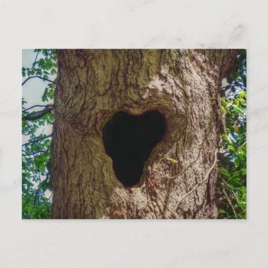 Herzbaum Postkarte (Vorderseite)