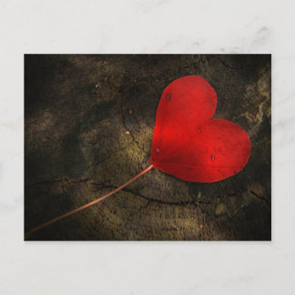 Herzblatt Postkarte