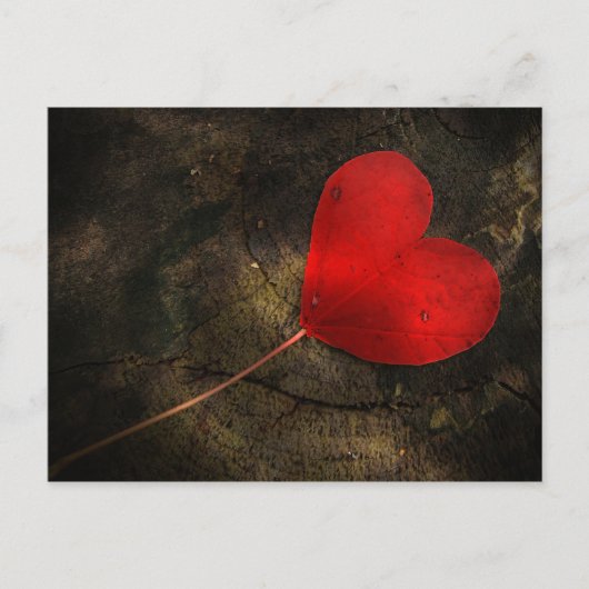 Herzblatt Postkarte (Vorderseite)