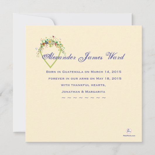 Herzblühen - Ankündigung der Adoption des Fotos (Rückseite)