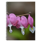 HerzblutdruckNotebook Notizblock (Vorderseite)