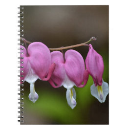 HerzblutdruckNotebook Notizblock