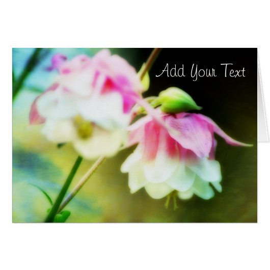 Herzbluten von Shirley Taylor (Vorderseite (Horizontal))