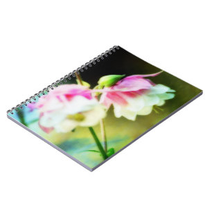 Herzbluten von Shirley Taylor Notizblock