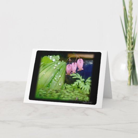 Herzblutungen, Blindkarte Karte (Vorderseite)