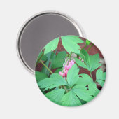 Herzblutungen Magnet (Vorderseite/Rückseite)