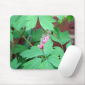 Herzblutungen Mousepad (Mit Mouse)