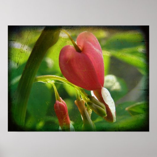 Herzblutungen Poster (Vorne)