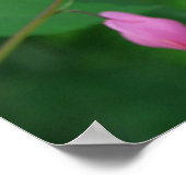 Herzblutungen Poster (Ecke)