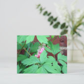 Herzblutungen Postkarte (Stehend Vorderseite)