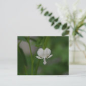 Herzblutungen Postkarte (Stehend Vorderseite)