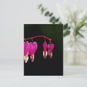 Herzblutungen Postkarte (Stehend Vorderseite)