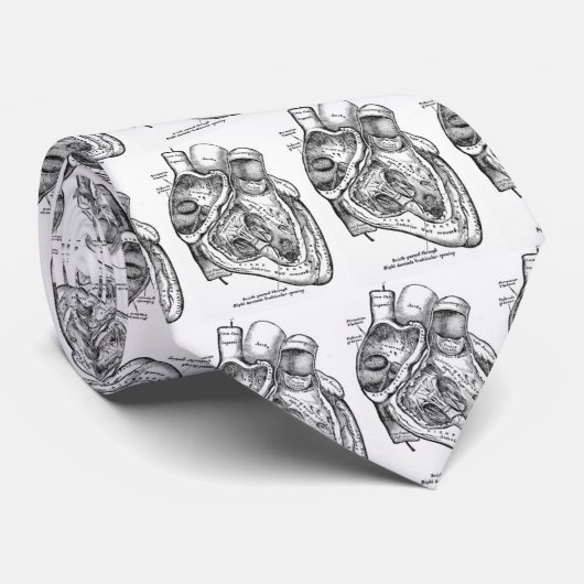Herzdoktor Krawatte (Gerollt)