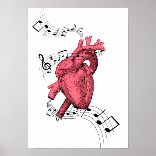Herzdrucken, Musikstifte, Musikherz, Anatomie Poster (Vorne)
