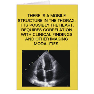 HERZecho-SCHULZEUGNIS