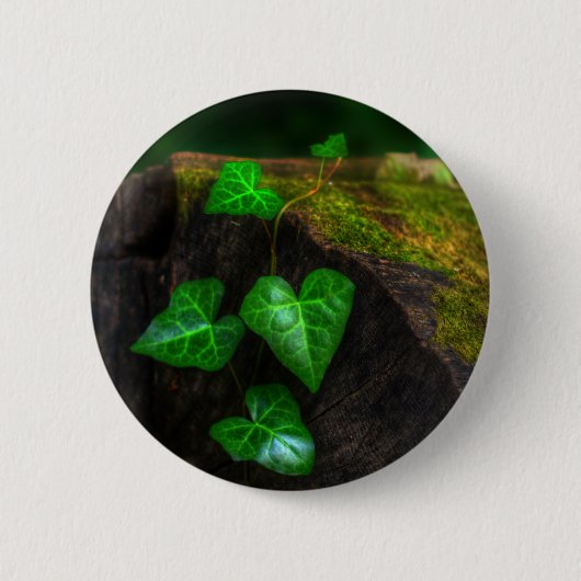 Herzen von Ivy Button (Vorderseite)
