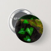 Herzen von Ivy Button (Vorne & Hinten)