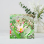 Herzenslust Kaufmanniana Tulip Einladung (Stehend Vorderseite)