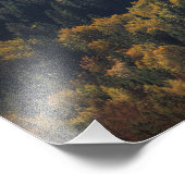 Herzform in einem Wald in Slowenien Fotodruck (Ecke)