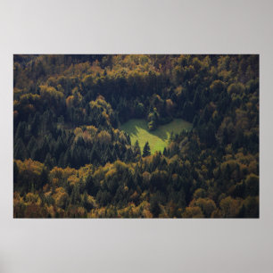 Herzform in einem Wald in Slowenien Poster