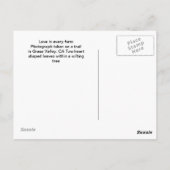 Herzförmige Blätter Postkarte (Rückseite)