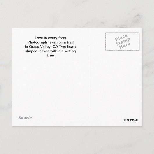 Herzförmige Blätter Postkarte (Rückseite)