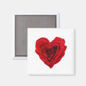 Herzförmige Rote Rose Magnet (Vorderseite/Rückseite)