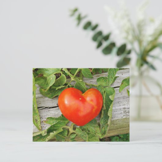 Herzförmige Tomate Postkarte (Stehend Vorderseite)