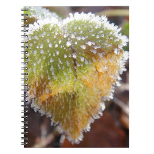 Herzförmiges Blatt mit Frost Notizblock