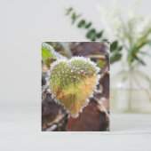 Herzförmiges Blatt mit Frost Postkarte (Stehend Vorderseite)
